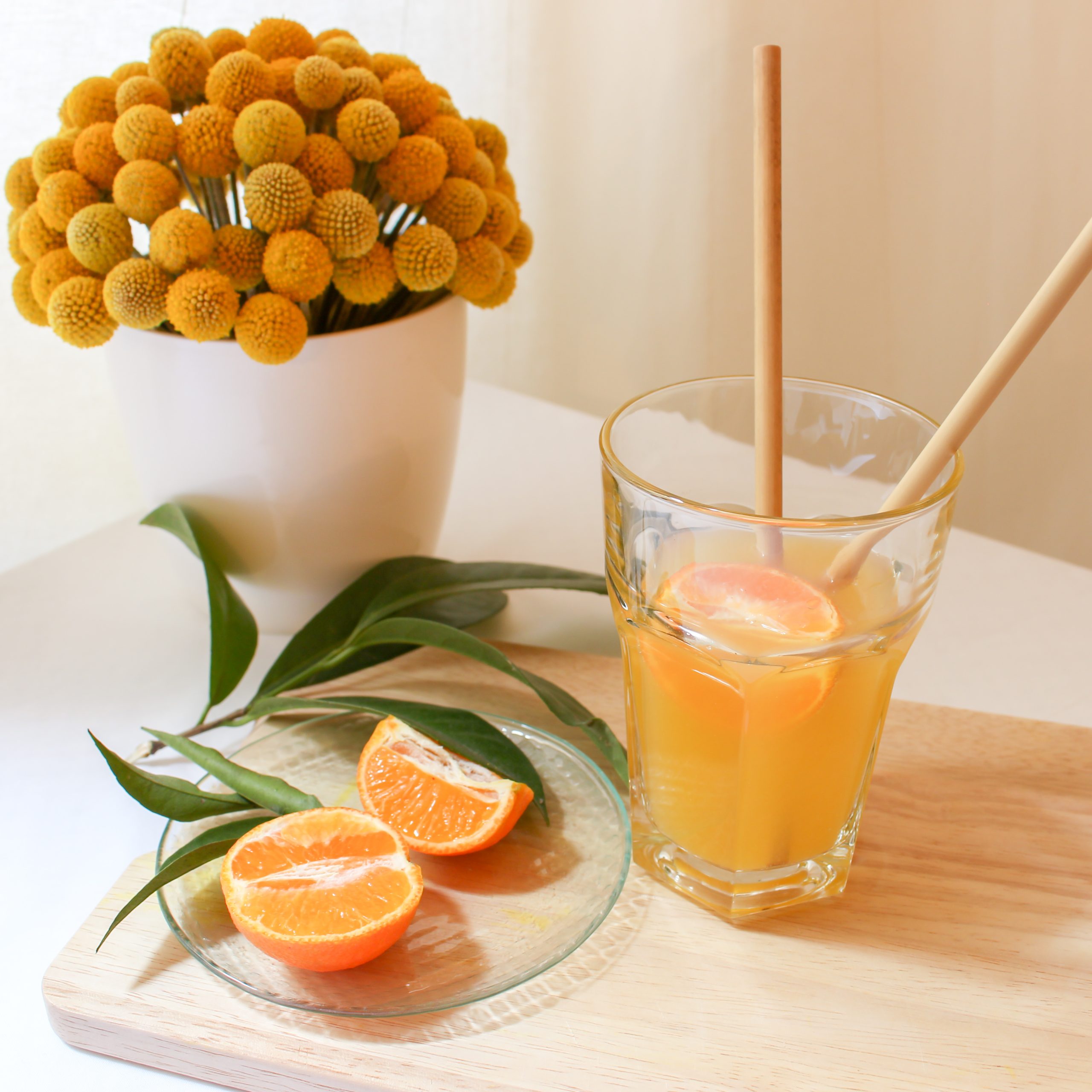 Palletes de bambú (12 palletes i un neteja palletes) - Imatge 4