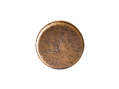 Xampú Òpal (per a evitar la caiguda del cabell)